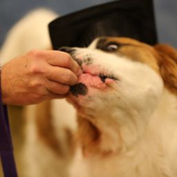 photograph by PeterW